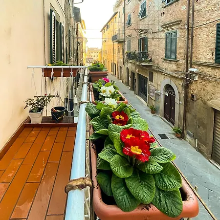 Apartamento Da Vinci Entire Space In The Heart Of Tuscany *